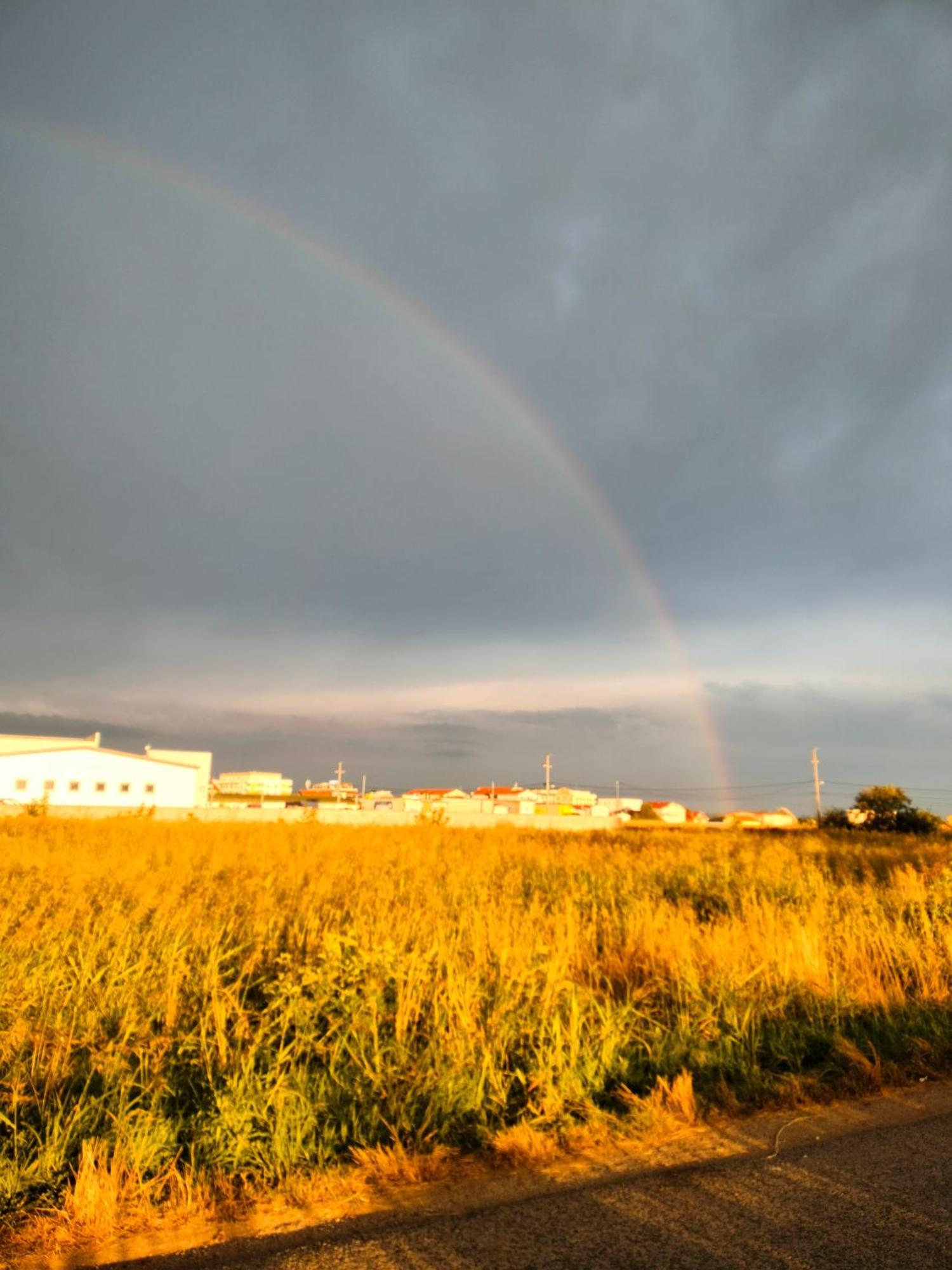 Daire A1 - Airport